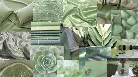 Sage Green Aesthetic Collage Wallpaper