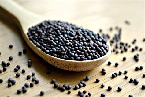 Benefits of Mustard Seeds You Should Know to Enjoy Good Health