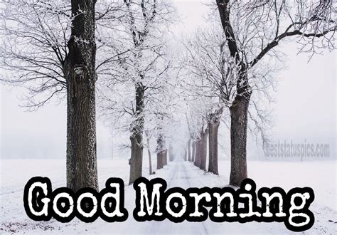 Good Morning Winter Images | Good morning winter images, Good morning ...