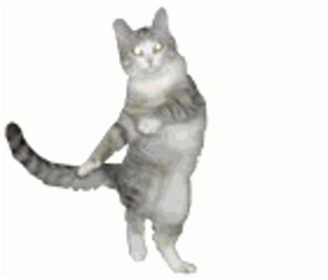 Dancing Kitty Sticker - Dancing Kitty Dance - Discover & Share GIFs in ...