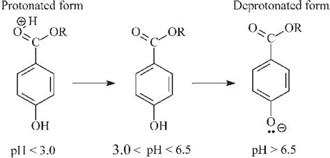 Protonaton and deprotonation at different pH ranges. | Download ...