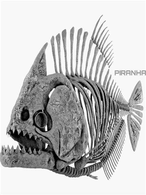 "Piranha skeleton" Sticker for Sale by Rozatic | Redbubble