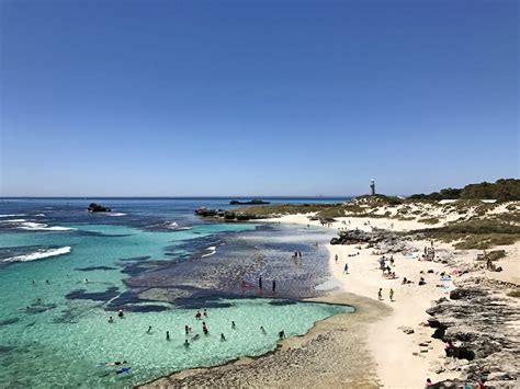 How to Plan a Perfect Day Trip to Rottnest Island in Australia | Yoga ...