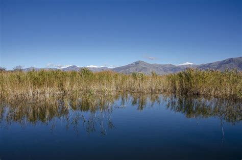 Small Prespa Lake and Prespa National Park, Greece Stock Photo - Image ...