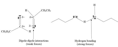 What is the strongest intermolecular force in 1 propanol?