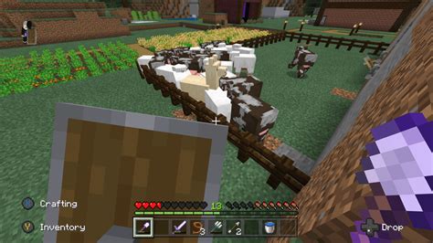 What's going on with my meat farm? : r/Minecraft