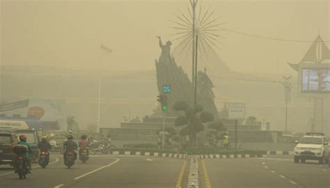 Kemarau Panjang Mulai Mei, Riau Waspada Kabut Asap - Nasional Tempo.co