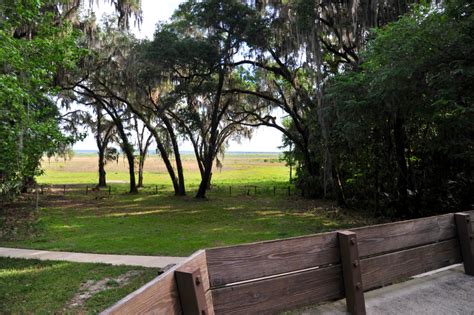 Paynes Prairie Visitor Center | Florida State Parks