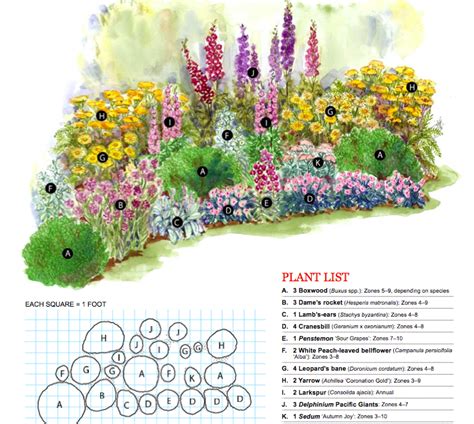 Butterfly Plants Zone 9 - Garden Plant