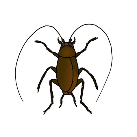 How to Draw a Cockroach - Step by Step Easy Drawing Guides - Drawing Howtos