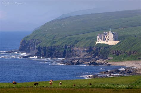 cows graze on the green grass near an ocean and rocky cliff with a ...