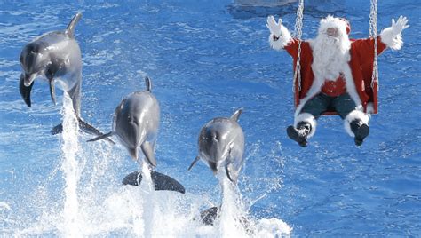 Photo: Santa sightings around the world | FOX31 Denver