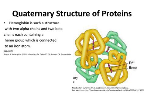 PPT - PROTEIN STRUCTURE PowerPoint Presentation, free download - ID:2306713