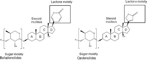 Structural characteristics of cardiac glycosides | Download Scientific ...