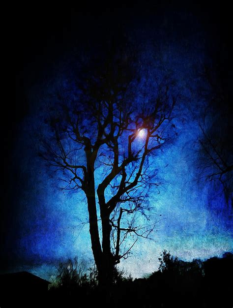 Tree In The Moonlight. Photograph by Leonard - Fine Art America