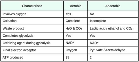 Aerobic Respiration Vs Anaerobic Respiration