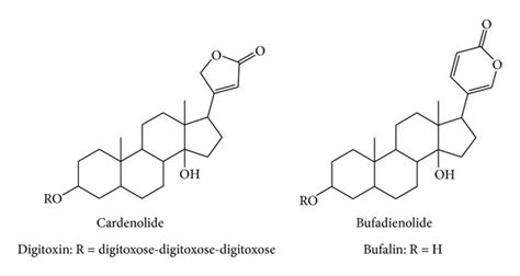 Chemical structure of cardiac glycosides. The basic skeletons of ...