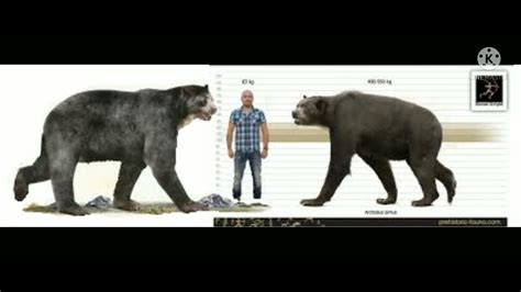 Arctotherium and Arctodus size comparison ( sorry for bad quality ...