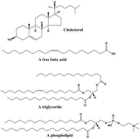 What Is a Lipid? Organic Chemistry of Fats, Phospholipids, Waxes & Steroids