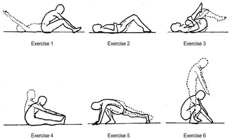 Pin by Kelly c on Step 1 spine | Williams flexion exercises, Exercise ...