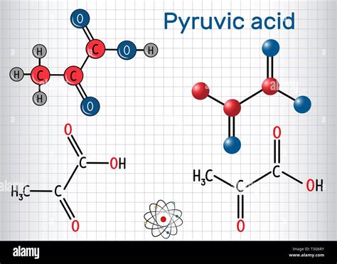 Pyruvate Structure