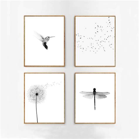 Nature Prints Set Botanical Posters Black White Wall Art Birds Insects ...