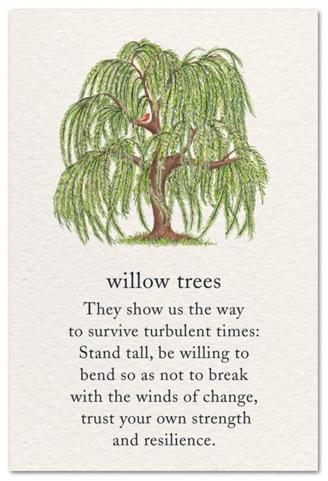 Willow Tree card | Support & Encouragement Card | Cardthartic .com ...