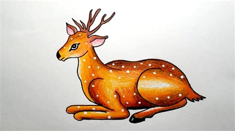 How To Draw Deer Step By Step || Deer Drawing Colour || Easy Deer ...