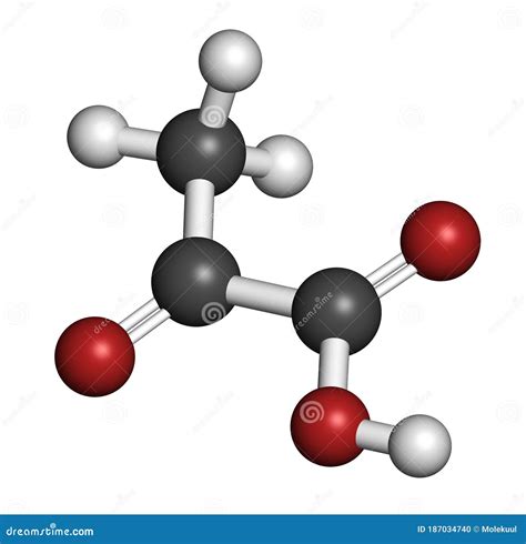 Pyruvic Acid (pyruvate) Molecule. Important Intermediate In A Number Of ...