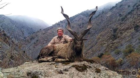 Markhor / Ibex Hunting