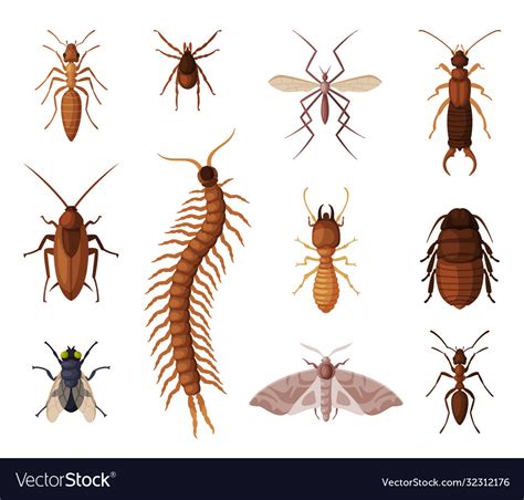 Harmful insects set centipede moth diplura ant Vector Image