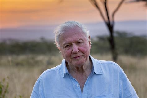 David Attenborough Netflix Our Planet - Riset