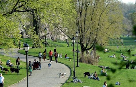 Prospect Park | NYC Parks | Entertainment | Attractions