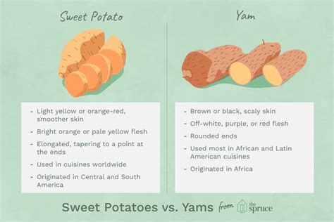 How to Tell the Difference Between Sweet Potatoes and Yams | Sweet ...