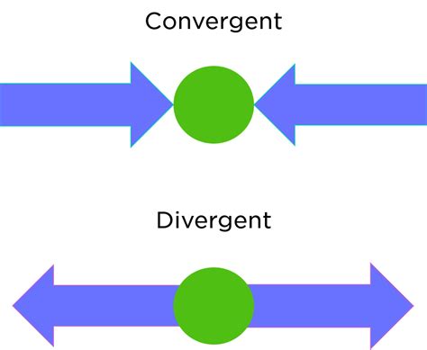 Convergent Evolution — Definition & Examples - Expii