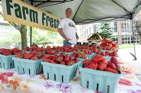 Farmers market returns with more food options - Northeastern Global News