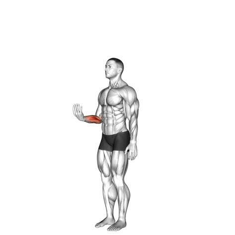 Wrist Flexion: Ultimate Exercise Guide & Tips [Video] - Boost Strength ...