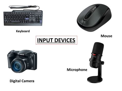 Input device and Output device