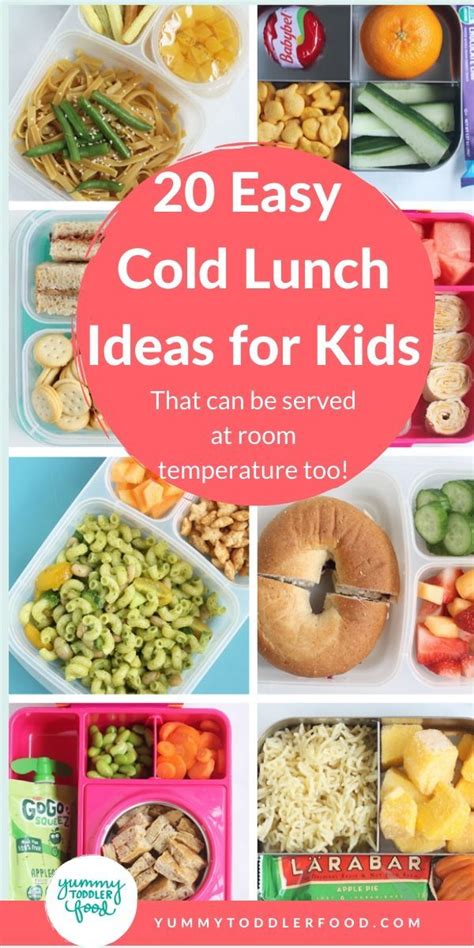 20 Easy Cold Lunch Ideas for Kids