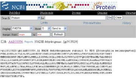 Gene sequence accessed from a Web database. combining this with ...