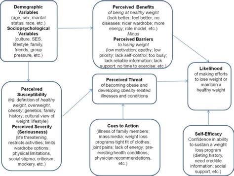 Health Belief Model - PSYCH-MENTAL HEALTH HUB