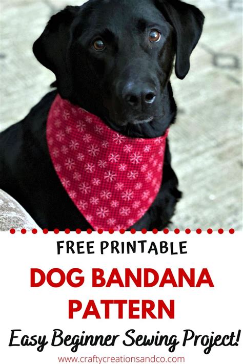 Free Printable Dog Bandana Pattern - Easy Sewing Tutorial | Dog bandana ...