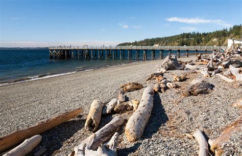 Kayak Point Park Beach stock photo. Image of logs, stanwood - 29268036