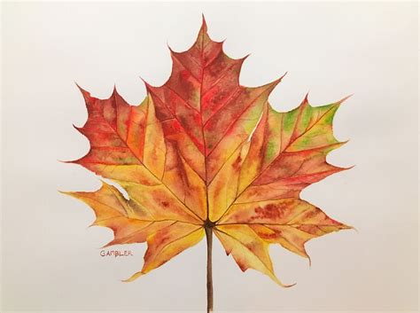 Autumn Leaf Watercolour by Charlotte Ambler | Artfinder