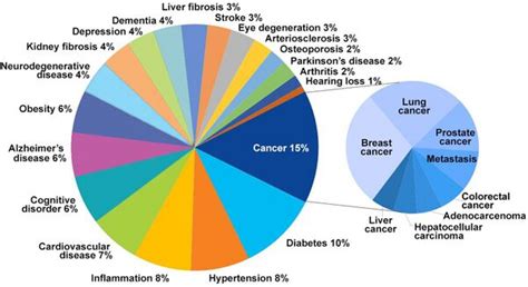 Age-Related Diseases - Longevity Wiki