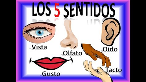 Los Cinco 5 Sentidos Para Niños, Five Senses in Spanish for Children ...