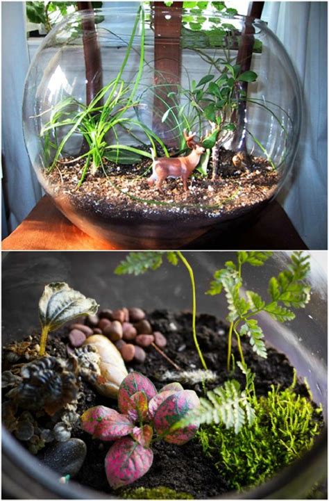 10 Fabulous Fish Bowl Upcycling Ideas For Stunning Home Decor - DIY ...