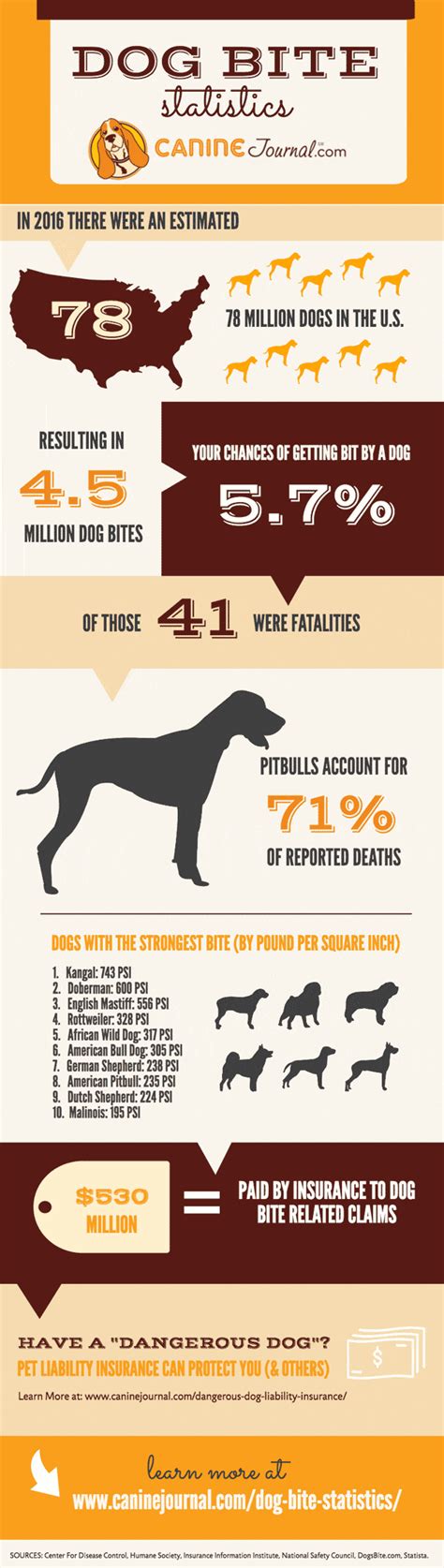 Dog Bite Statistics | CanineJournal.com