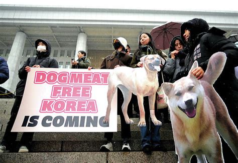 South Korea’s parliament passes landmark ban on production and sales of ...