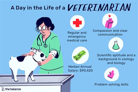 What Does a Veterinarian Do?